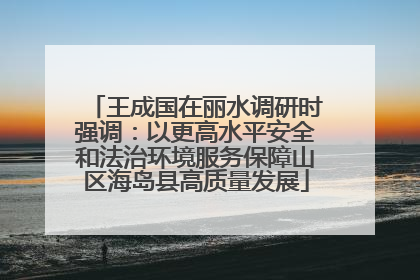 王成国在丽水调研时强调：以更高水平安全和法治环境服务保障山区海岛县高质量发展